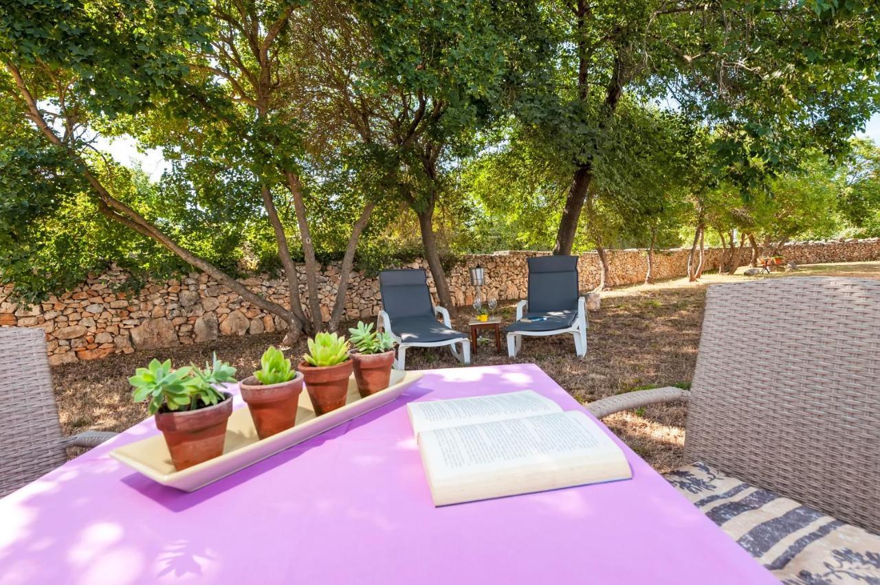 Apartmán House Lena - 800 M From The Sea Rovinj Exteriér fotografie